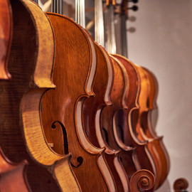 Werkstatt Geigenbau Krutz
